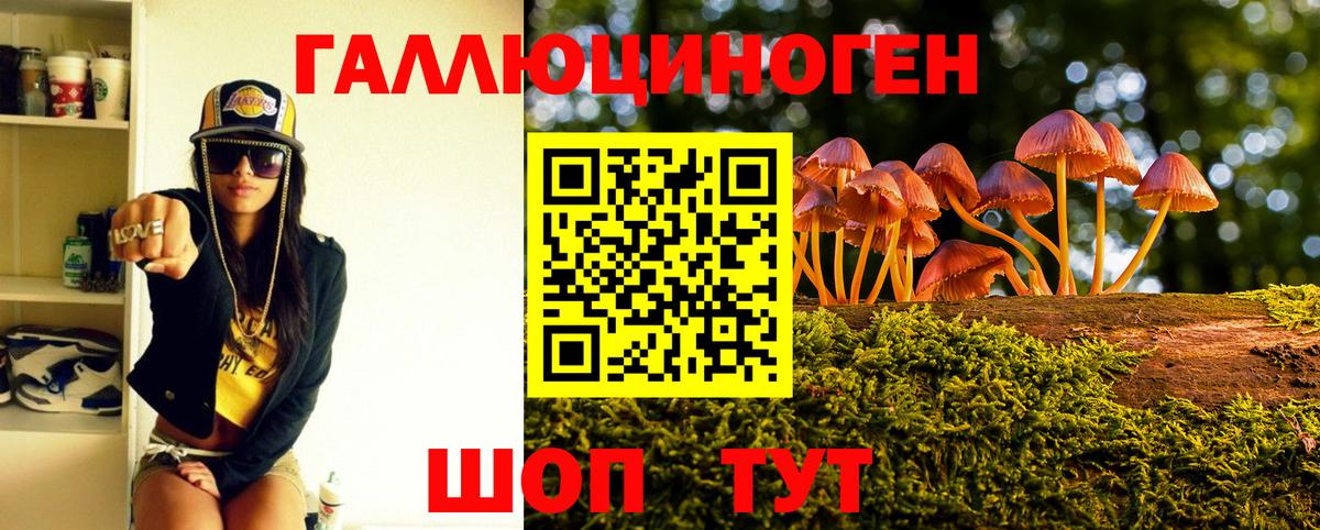 Псилоцибиновые грибы Psilocybe Шарыпово